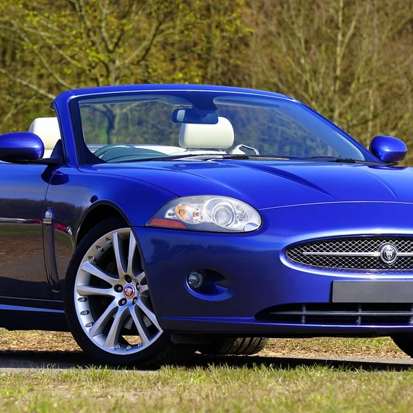 大发彩票老虎机