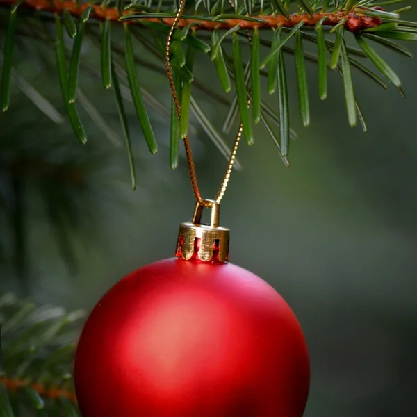 大发彩票棋牌游戏